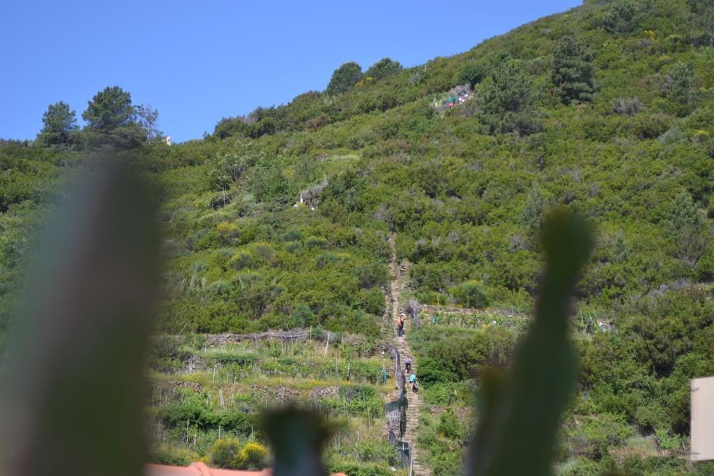 Hotel In Tracastello - Air Cond - Parking Not Included - Riomaggiore Exterior foto