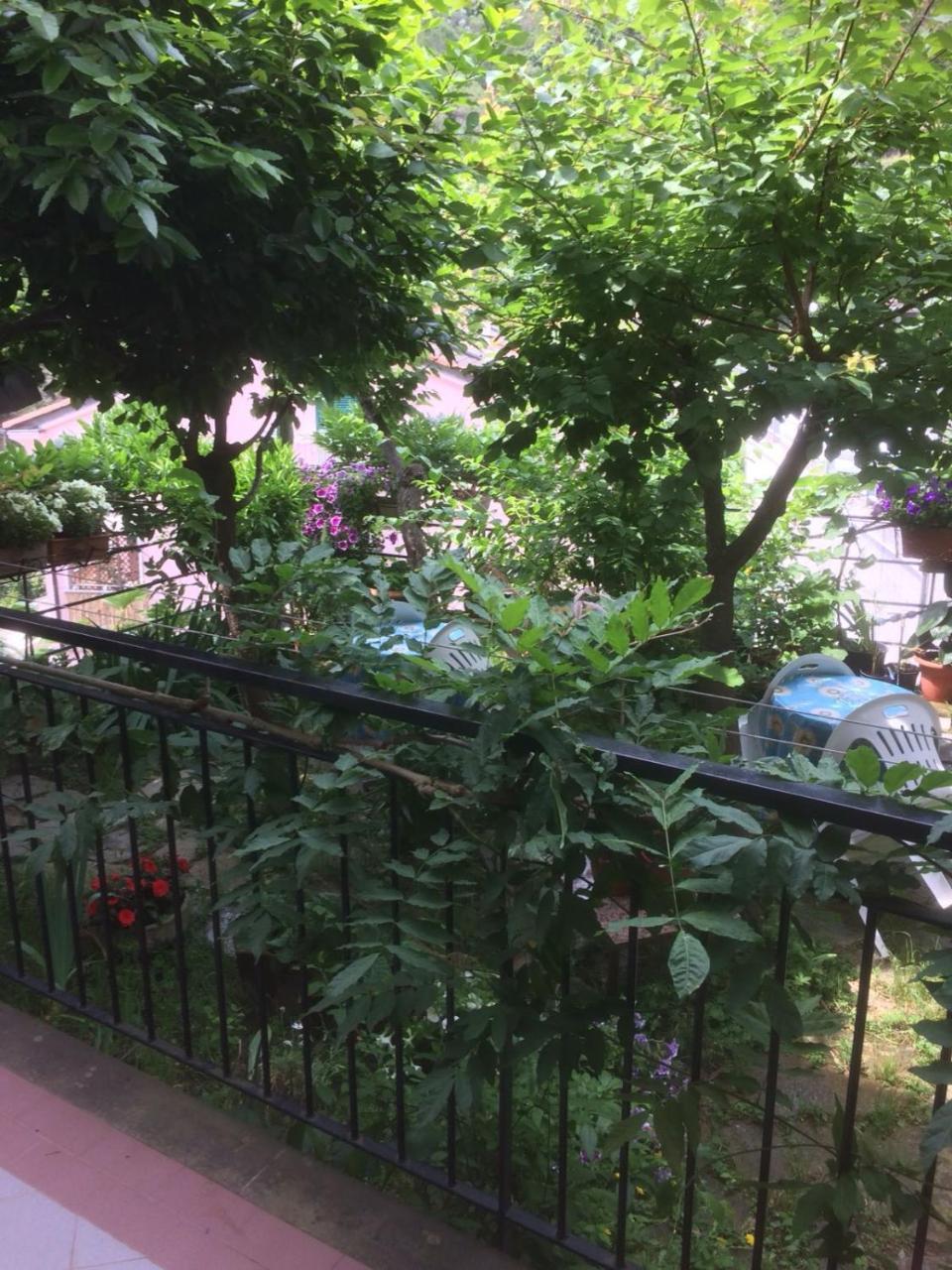 Hotel In Tracastello - Air Cond - Parking Not Included - Riomaggiore Exterior foto